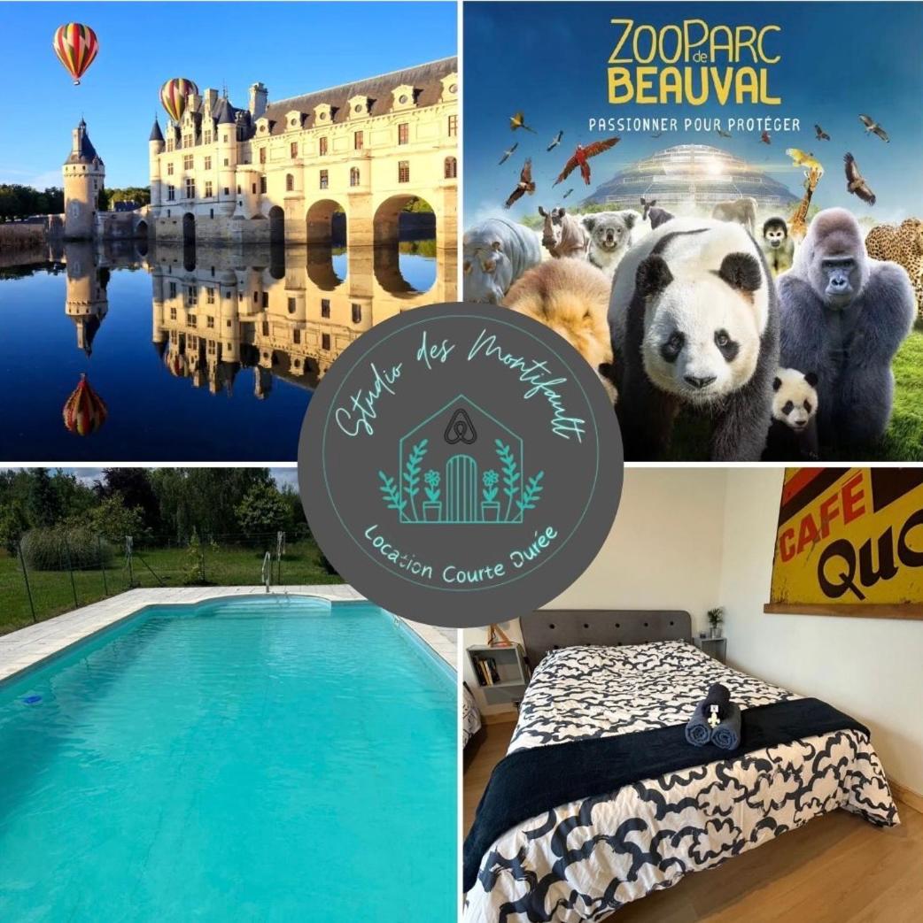 Studio Proche Beauval Et Chateaux De La Loire Francueil المظهر الخارجي الصورة